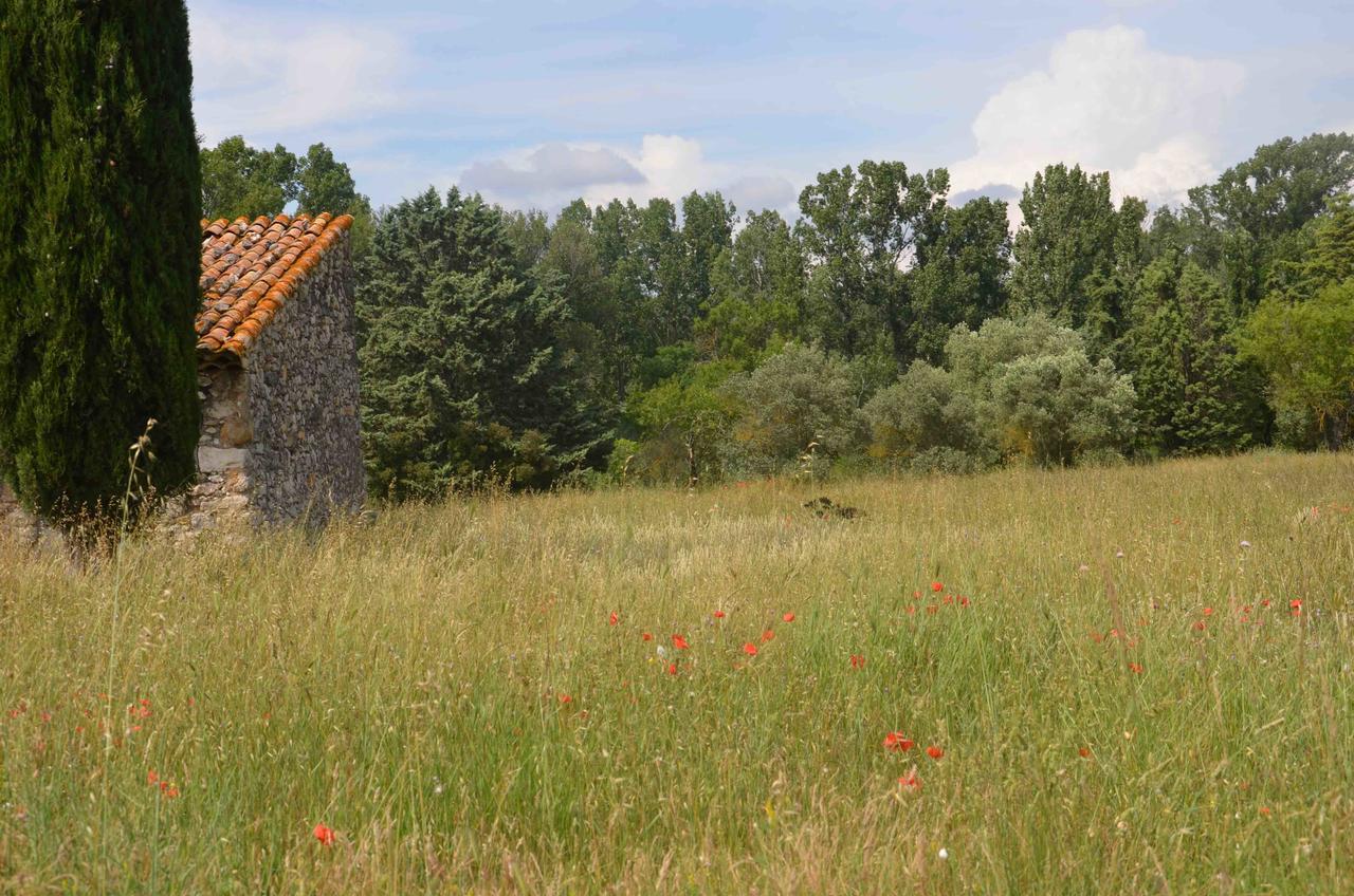 Domaine Shambala - Maison D'Hote En Provence - Piscine Chauffee Velaux Εξωτερικό φωτογραφία